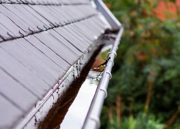 Messy gutter at edge of slate roof